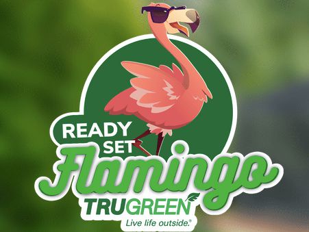 TruGreen Ready Set Flamingo Giveaway