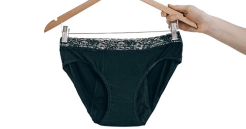 Possible Free Her Inc Period Panties with Social Nature